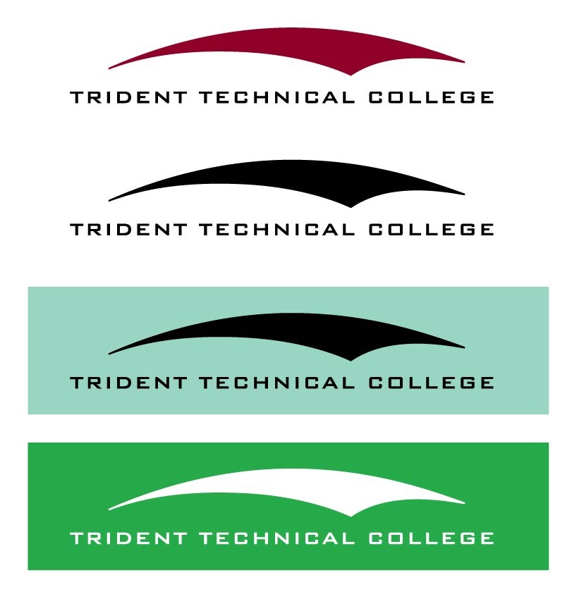 Examples of appropriate color usage of logo 